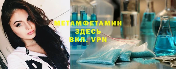 сатива Новокубанск