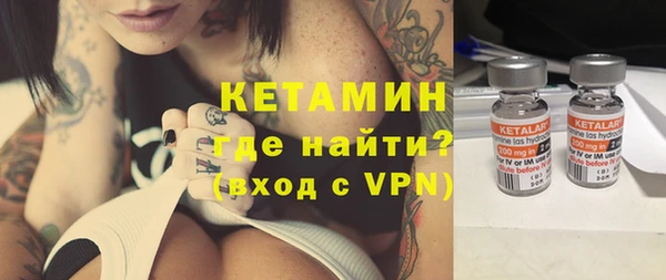 сатива Новокубанск