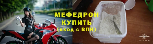 сатива Новокубанск