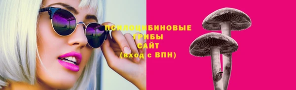 гидра Новодвинск