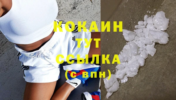 гидра Новодвинск