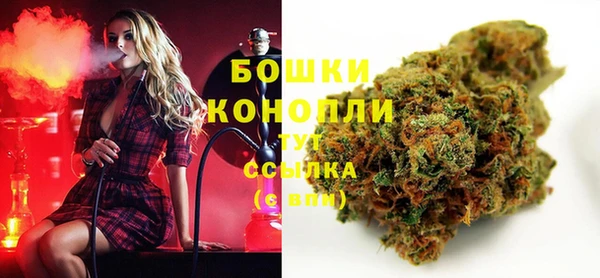гидра Новодвинск